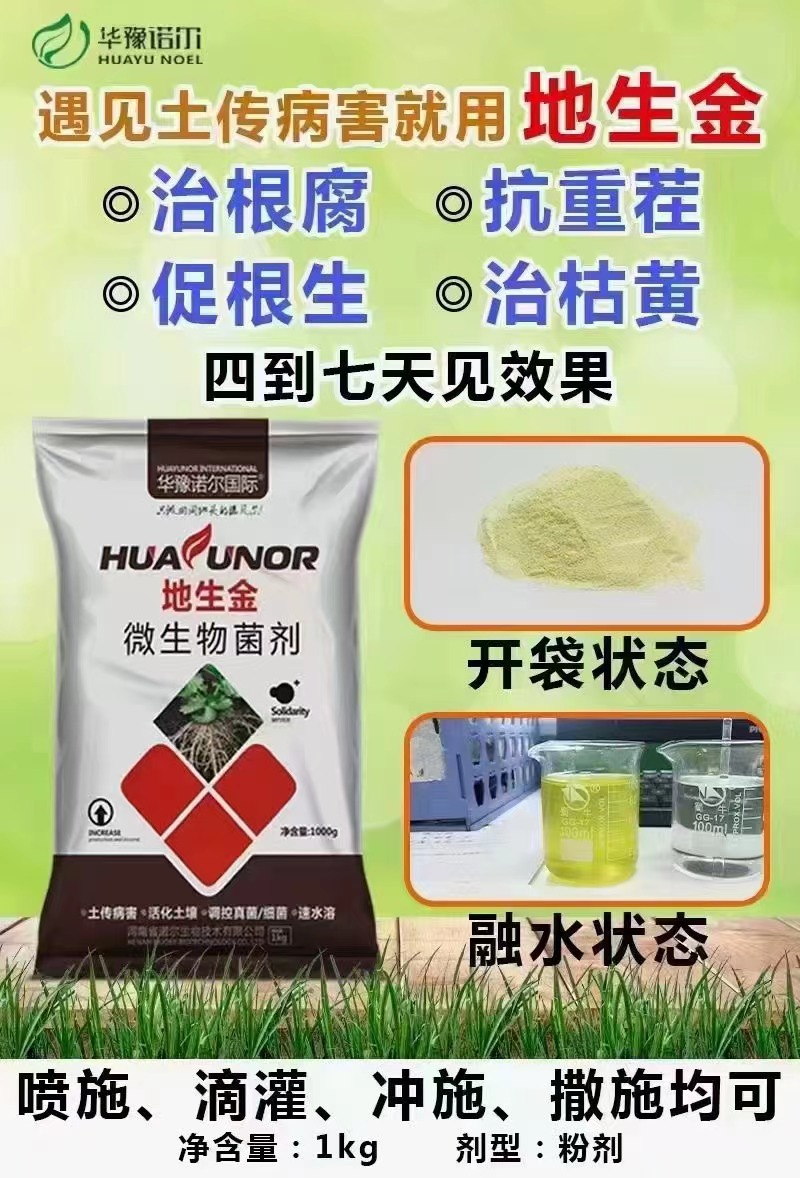 1708226890331001012.png blob.png