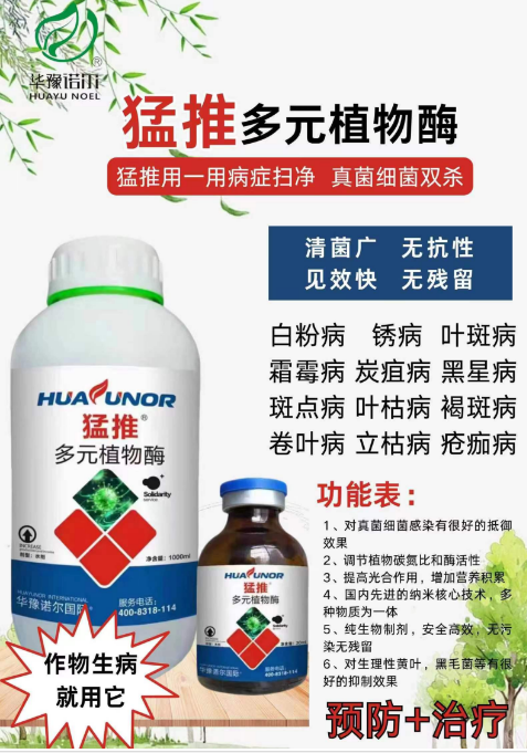 1708313074098005977.png blob.png