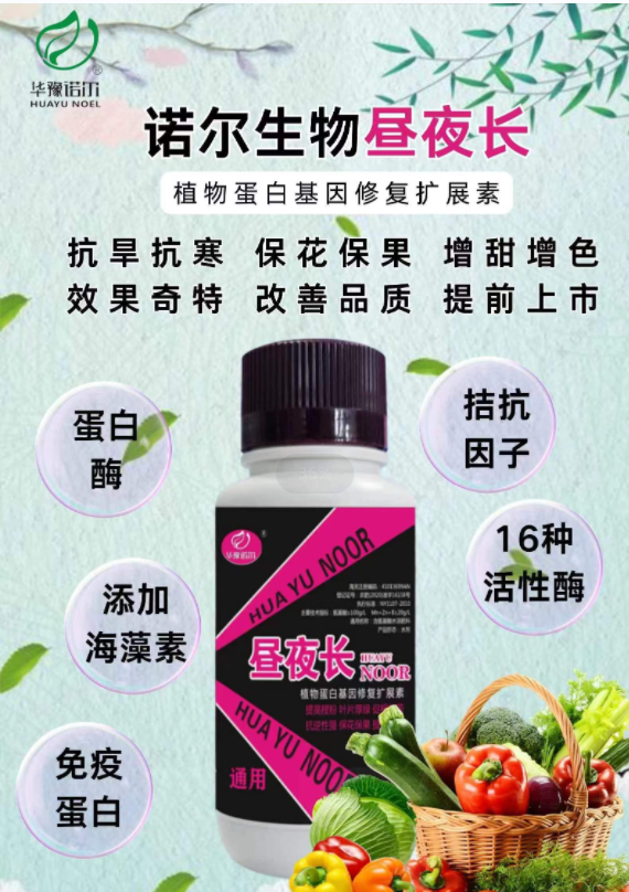 1708654784120040017.png blob.png